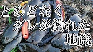 和歌山のグレ釣り 新規開拓した地磯が凄かった [upl. by Ahras]