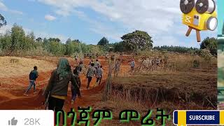 New gojjam kererto  አለነ ጸጋ  ና ጉዱ  Na gudu New Ethiopian Music 2024 Official Music Video [upl. by Eiger746]