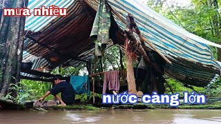 kinh nghiệm sống trong rừng mưa to nước lớn vào rừng thì biết cảnh nàyphúc làng tv [upl. by Mack789]