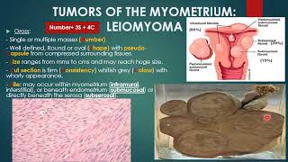 Myometrium and tube [upl. by Hartwell]