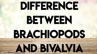 Geology palaeontologyecture series difference between brachiopods and bivalvia [upl. by Enawtna]