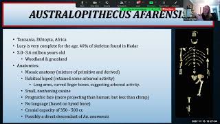 The Australopithecines  Robust amp Gracile Forms [upl. by Nalyr]