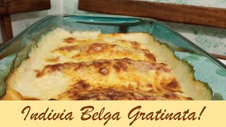 Indivia belga ricette – Indivia belga gratinata – Endives au jambon –Endive Recipe–Endivias–Endivien [upl. by Nomled534]