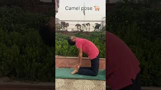 Camel pose 🐫 motivation asanasyoga yoga [upl. by Callie449]