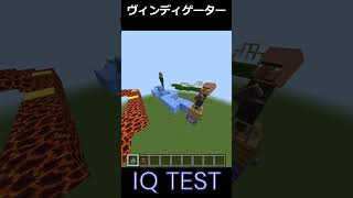 Minecraft Vindicator IQ test shorts minecraft [upl. by Betti]