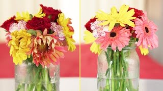 How To Make Your Flower Arrangements Last Longer [upl. by Cristina377]