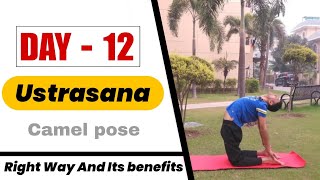 How to perform Ustrasana yoga camel pose [upl. by Him119]