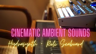 Cinematic Ambient Sounds with ASM Hydrasynth Desktop and Roli Seaboard blocks [upl. by Hsevahb447]