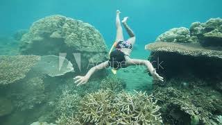 Young female snorkeler swimming underwater near tropical fishes and corals [upl. by Einama]