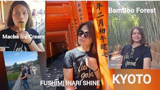 FUSHIMI INARI SHRINE IN KYOTO EXPERIENCE JAPAN [upl. by Hairahcaz]