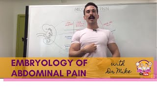 Abdominal Pain  Embryology [upl. by Gerard55]