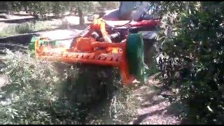 TRITURADORA DE 160MT EN BUGGY [upl. by Nylhtak388]