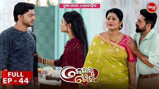 କେଦାର ଗୌରୀ  Kedar Gouri  Full Episode  44  New Odia Mega Serial on Sidharth TV 830PM [upl. by Vola627]