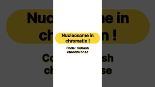 Nucleosome in chromatin [upl. by Dnallor]