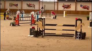 QuoVadis  Show Jumper  Quality Time  2016  Gelding [upl. by Chelsey879]