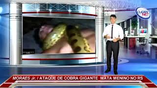 Play TV News Ataque de cobra gigante mata menino no RS [upl. by Dibbell]