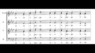 Arvo Pärt  Magnificat 1989 [upl. by Ellersick]