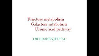 Fructose Metabolism Galactose Metabolism Uronic Acid Pathway [upl. by Oirobil]