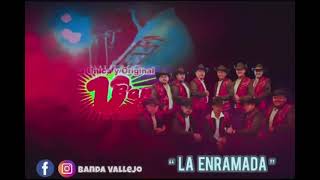 Banda Vallejo La Enramada [upl. by Eyahc91]