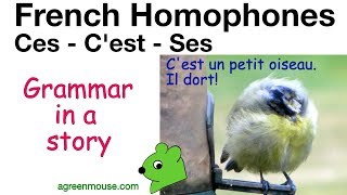 Ces Ses Cest  French Homophones [upl. by Rydder]