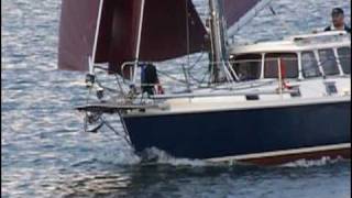 HABER 800 Cutter  wwwhaberyachtscom [upl. by Rfinnej]