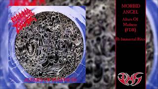 MORBID ANGEL Altars Of Madness FDR Full Album [upl. by Akyssej]