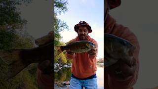 October Snake River Smallmouth Bass idahofishing idahofishing bassfishing bassfishingismylife [upl. by Yojenitsirk]