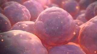 Stem Cell Animation [upl. by Namhcan]