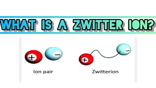 Zwitter ion shorts youtube zwitterion trending [upl. by Aticnemrac]