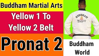 Pronat 2  Yellow 1 To Yellow 2 Belt Promotio  Buddham Martial Arts [upl. by Enytnoel200]