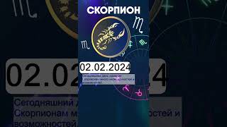 Гороскоп на 02022024 СКОРПИОН [upl. by Ellmyer]