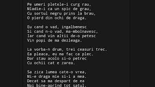 talisman  numai una  pe umeri pletelei curg rau karaokeinstrumental [upl. by Dnomad]