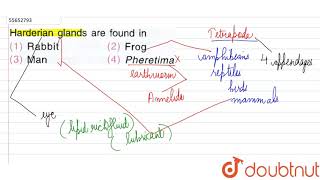 Harderian glands are found in [upl. by Rehpretsirhc178]