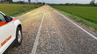 Strada ricoperta di mais caduto da un camion unauto quotpattinaquot sui chicchi e finisce nel campo [upl. by Kilmarx616]