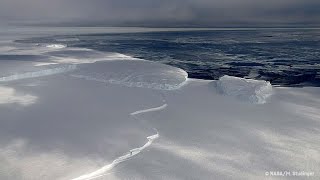 The Ross Sea Antarctic Marine Park  Behind the News [upl. by Monique717]