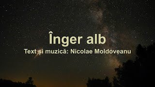 Inger alb  Nicolae Moldoveanu [upl. by Akcire]