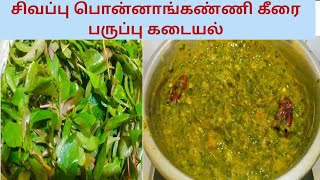 சிவப்பு பொன்னாங்கண்ணி கீரை பருப்பு கடையல்  Sigappu Ponnankanni Keerai Paruppu Kadayal RecipeinTamil [upl. by Nauwaj]