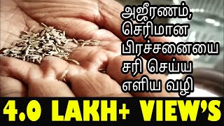 Ajeeranam  Serimana Prachanai  Digestion Problem Home Remedies in Tamil  Tamil Bro Samayal [upl. by Turtle989]