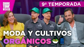 Una plataforma para cultivar y pantalones supercómodos 🥗👖  Temporada 9  Shark Tank México [upl. by Aimej]