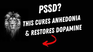 Reversing PSSD  How to cure anhedonia and restore dopamine [upl. by Weisburgh999]