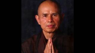 Thich Nhat Hanh  Introduction to Mindfulness  Tranquility Meditation [upl. by Inalial]