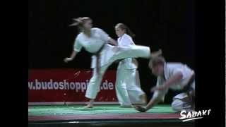 Tai Sabaki Karate quotSlowquot [upl. by Barthol]