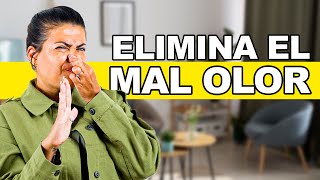 Cómo Eliminar Malos Olores de tu Casa [upl. by Bennink913]