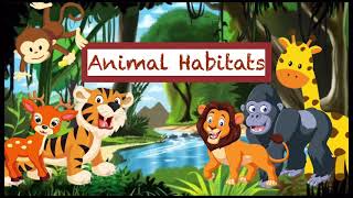 Animals and their Habitats [upl. by Bartlet357]