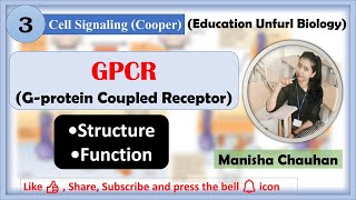 Gproteincoupled Receptors  GPCRs Cooper  Cell signaling  gpcr structure function [upl. by Curry724]