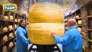 PARMIGIANO REGGIANO CHEESE  How amp Where is Made difference with Parmesan Cheese amp Why is Expensive [upl. by Anoid55]