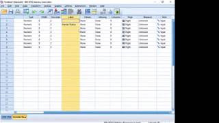 Introduction to SPSS in Urdu [upl. by Stinky]