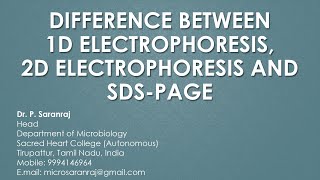 Difference Between OneDimensional Electrophoresis TwoDimensional Electrophoresis and SDSPAGE [upl. by Odelet]