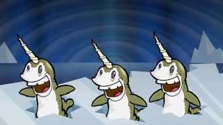 Narwhals  Official Spanish Version Versión Oficial Española [upl. by Oidiple]