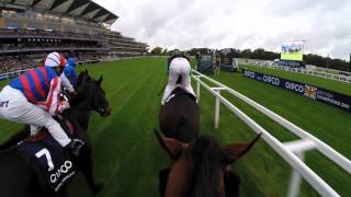 British Champions Day Jockey Camera [upl. by Ahsieit]